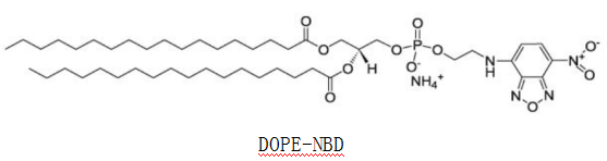 NIR-I、NIR-II，及NBD胺类近红外荧光染料