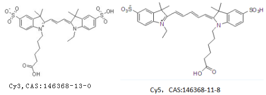 CY染料标记基团/蛋白/抗体/生物分子等荧光染料系列菁染料类