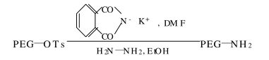 聚乙二醇氨基化/酯化/羧基化的方法