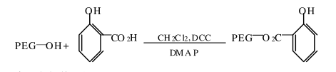 聚乙二醇酯化方法及其影响