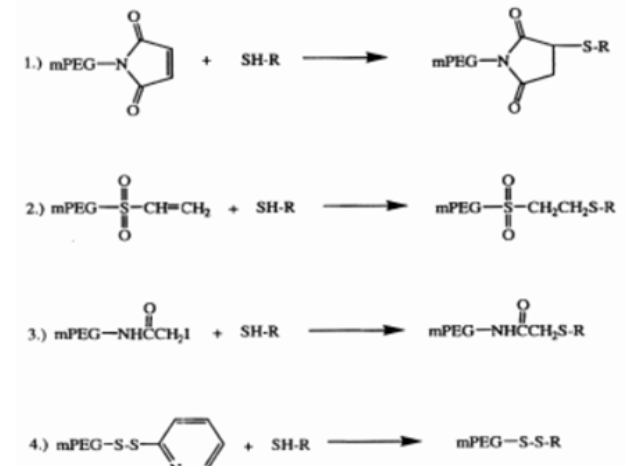 简介聚乙二醇活化的六种方法