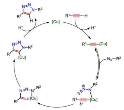 点击化学Click chemistry反应原理/特性及应用