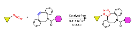 四大常见点击化学反应类型简介DBCO/BCN/TZ/TCO