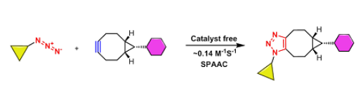 四大常见点击化学反应类型简介DBCO/BCN/TZ/TCO