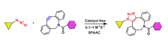 点击化学DBCO的反应优点及其实际应用