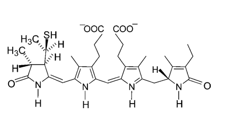 试剂家简介---基础的流式荧光染料——藻红蛋白PE