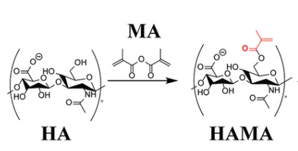 试剂家总结光固化水凝胶-甲基丙烯酰化明胶/甲基丙烯酰化透明质酸