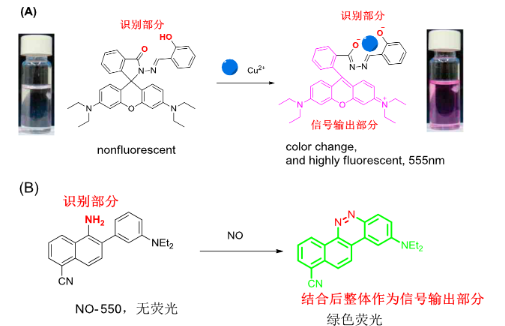 试剂家总结荧光探针的定义/结构/条件/应用简介