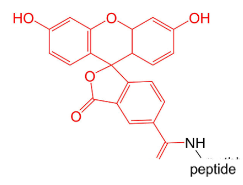 试剂家简介AMC/5-FAM/RB/5-TAMRA/Cy修饰多肽