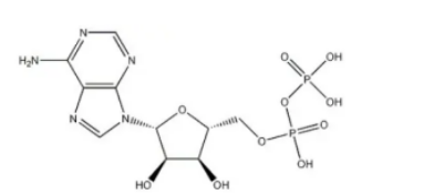 OH-PEG-Phosphoric acid ，白色，羟基PEG化磷酸基