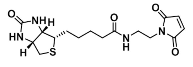 试剂家简析生物素衍生物相关性质