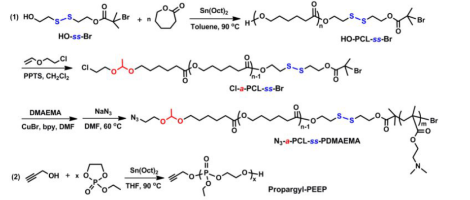 N3-a-PCL-ss-PDMAEMA，含叠氮基的阳离子型两嵌段共聚物的制备过程