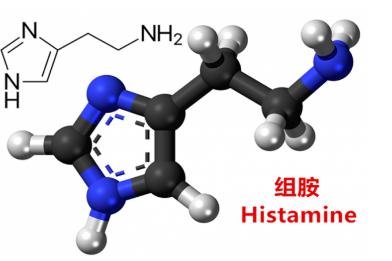 组胺