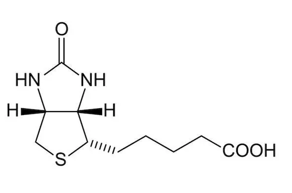 生物素