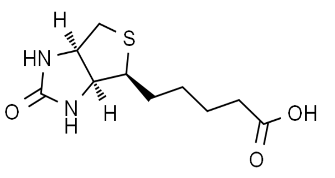 试剂家简析生物素标记免疫标记技术