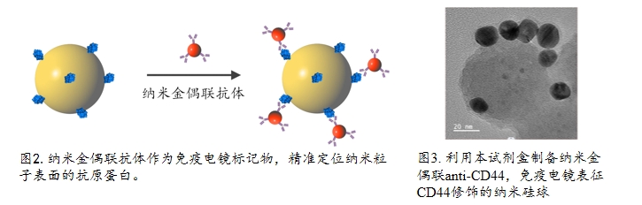 纳米金偶联抗体/蛋白试剂盒