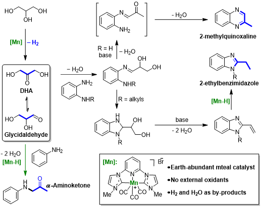 锰催化甘油脱氢高效构筑含氮杂环与氨基酮类化合物