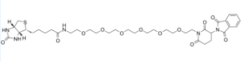 2144775-48-2；Biotin-PEG6-Thalidomide