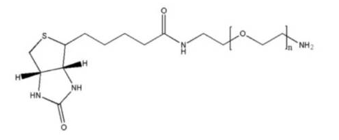 生物素-聚乙二醇-氨基的应用；Biotin-PEG-NH2