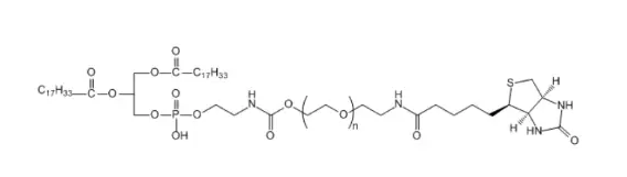 DOPE-PEG-Biotin；二油酰基磷脂酰乙醇胺-聚乙二醇-生物素 