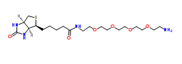 生物素-PEG4-胺；Biotin-PEG4-amine