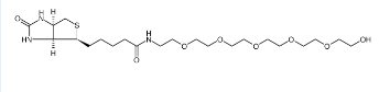 906099-89-6；Biotin-PEG6-alcohol