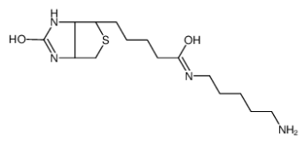 5-(Biotinamido)pentylamine；生物素-C5-胺