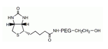 生物素聚乙二醇羟基；Biotin-PEG-OH