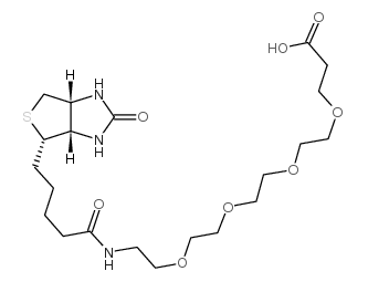 Biotin-PEG4-acid；生物素四聚乙二醇羧基