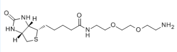 生物素-PEG2-胺；138529-46-1；Biotin-PEG2-NH2