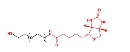 巯基聚乙二醇生物素； SH-PEG-Biotin