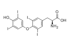 L-甲状腺素；51-48-9；L-thyroxine