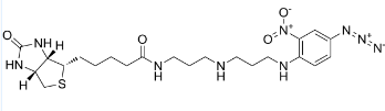 N-(4-Azido-2-nitrophenyl)-N''-biotinylnorspemidine