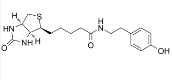 生物素基酪氨酰胺；41994-02-9；Biotinyl tyramide