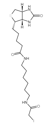 Iodoacetyl-LC-biotin；N-生物素-N'-(碘乙酰基)-1,6-己二胺