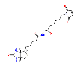 BIOTIN-MALEIMIDE；116919-18-7；生物素-马来酰亚胺