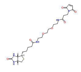 305372-39-8；Biotin-PEG2-Mal