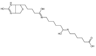 89889-51-0；Biotin-C5-amino-C5-amino