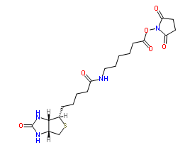 72040-63-2；Biotin-C5-NHS Ester；生物素化-epsilon-氨基己酸-N-羟基丁二酰亚胺活化酯