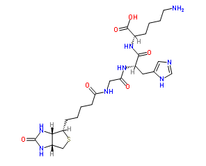 生物素三肽-1；299157-54-3；Biotinoyl Tripeptide-1