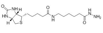 (+)-生物素胺己酰肼；109276-34-8；Biotin LC hydrazide