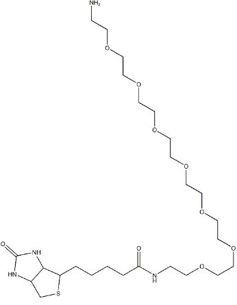 生物素-八聚乙二醇-氨基；1334172-76-7；Biotin-PEG7-Amine