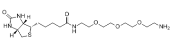 生物素-PEG3-胺；359860-27-8；Amine-PEG3-Biotin