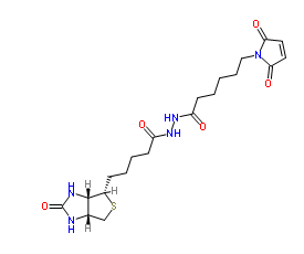 生物素-马来酰亚胺；116919-18-7；BIOTIN-MALEIMIDE