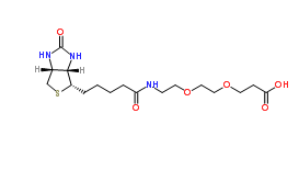 1365655-89-5；Biotin-PEG2-acid