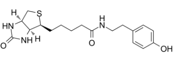 生物素基酪氨酰胺；41994-02-9；Biotinyl tyramide