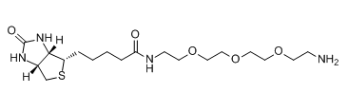 生物素-PEG3-胺；359860-27-8；Amine-PEG3-Biotin