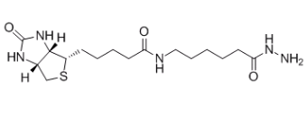 (+)-生物素胺己酰肼；109276-34-8；Biotin LC hydrazide