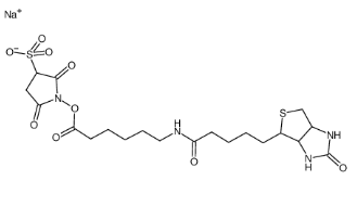 生物素酰氨基己酸-3-磺酸基-N-羟基琥珀酰亚胺酯，127062-22-0，Sulfo-NHS-LC-Biotin sodium