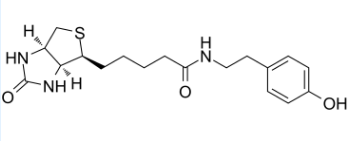 41994-02-9；Biotinyl tyramide